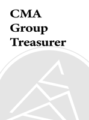 The Group Treasurer